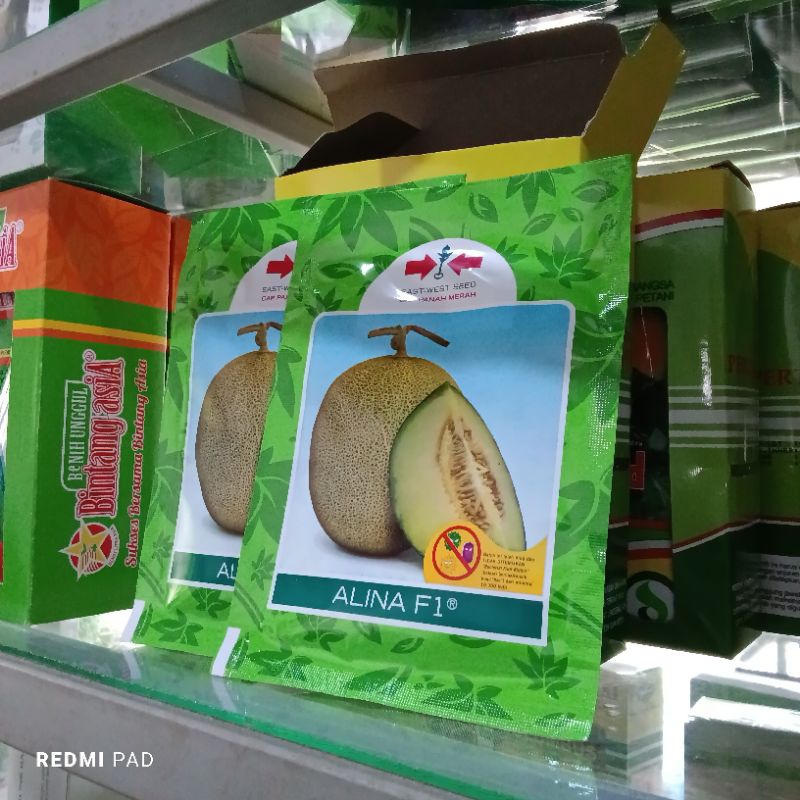 Benih Bibit Melon Madu Alina F1 (Cocok ditanam di dataran rendah sampai menengah Produksi Tinggi dan