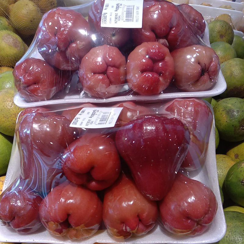 

JAMBU AIR CITRA /PACK