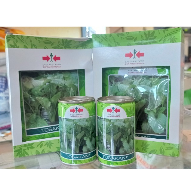 Benih sawi CAISIM TOSAKAN ,Benih jesin TOSAKAN  ,TOSAKAN 25/100gram
