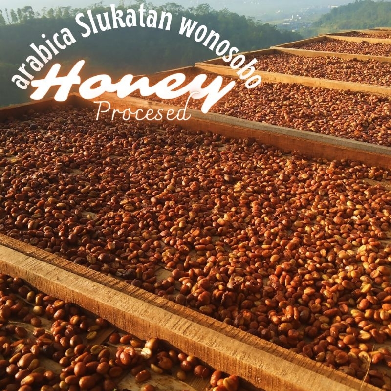 

Green Bean Arabica honey anaerob 1kg kopi wonosobo
