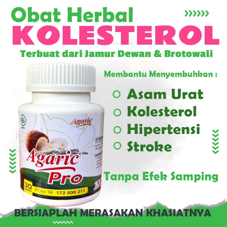 OBAT HERBAL KOLESTEROL AGARIC PRO GRATIS ONGKIR