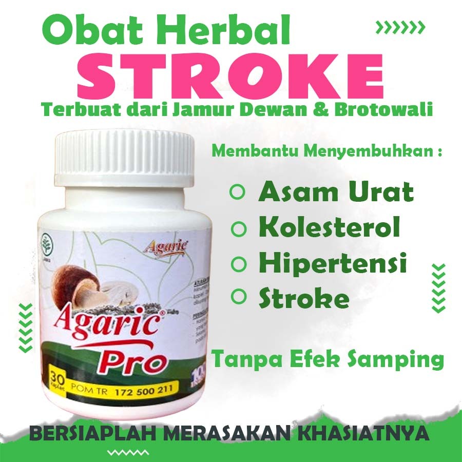 OBAT HERBAL STROKE AGARIC PRO GRATIS ONGKIR