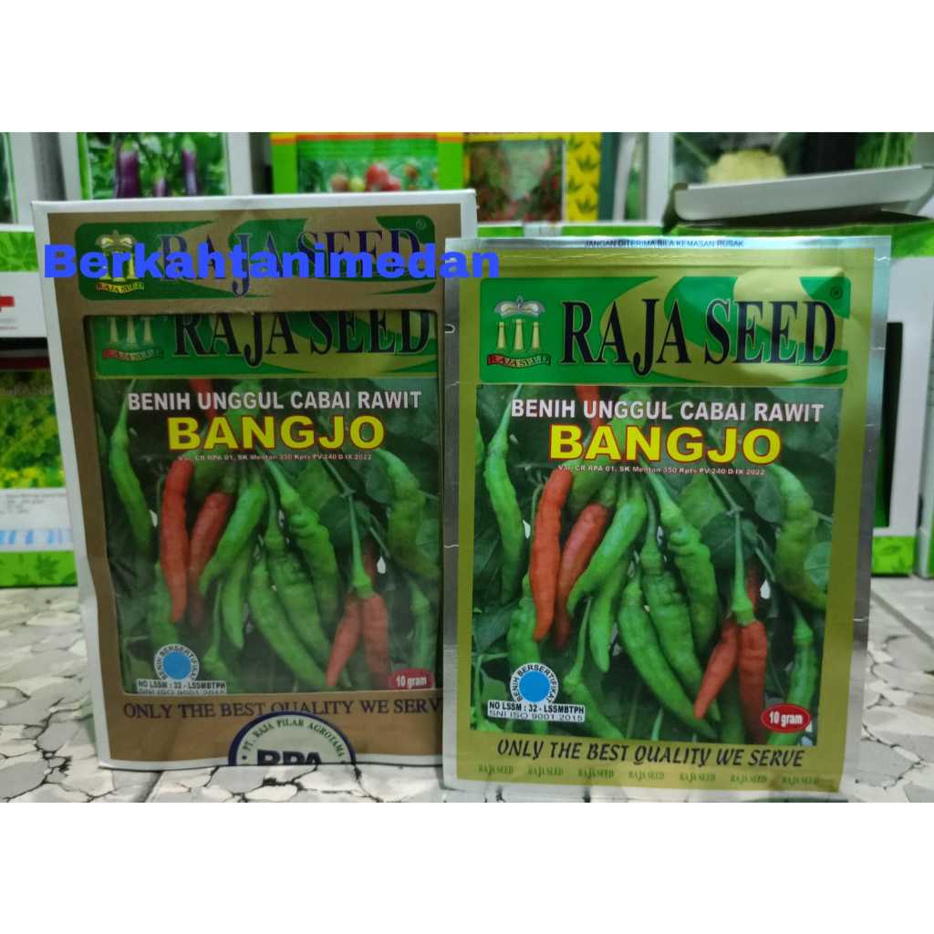 Benih Cabe Rawit Bangjo isi 10 gram