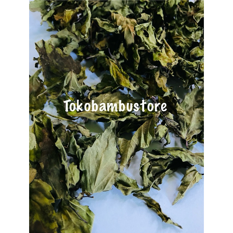 

Daun kumis kucing daun kumis kucing MURNI daun tanpa batang-az