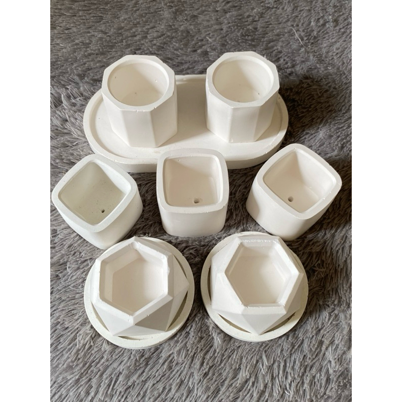 POT SEMEN KAKTUS SUKULEN