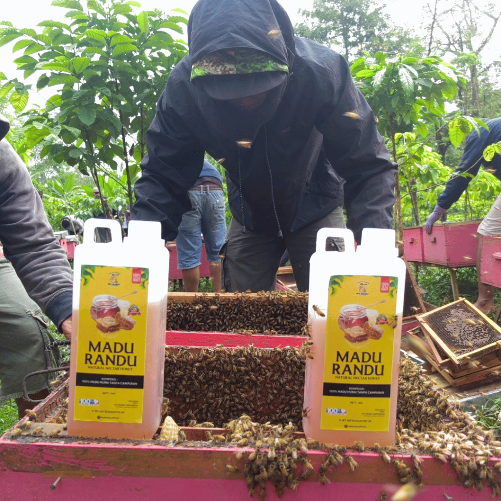 

Madu Asli 100% Tanpa Campuran Nektar Randu 1 Kg