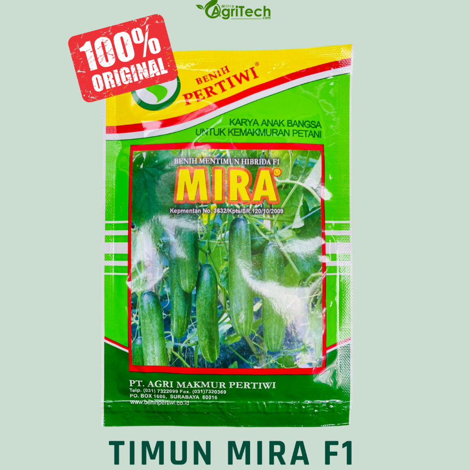 BENIH BIBIT TIMUN HIBRIDA MIRA F1 ISI 25 GR & 10 GR - BENIH PERTIWI
