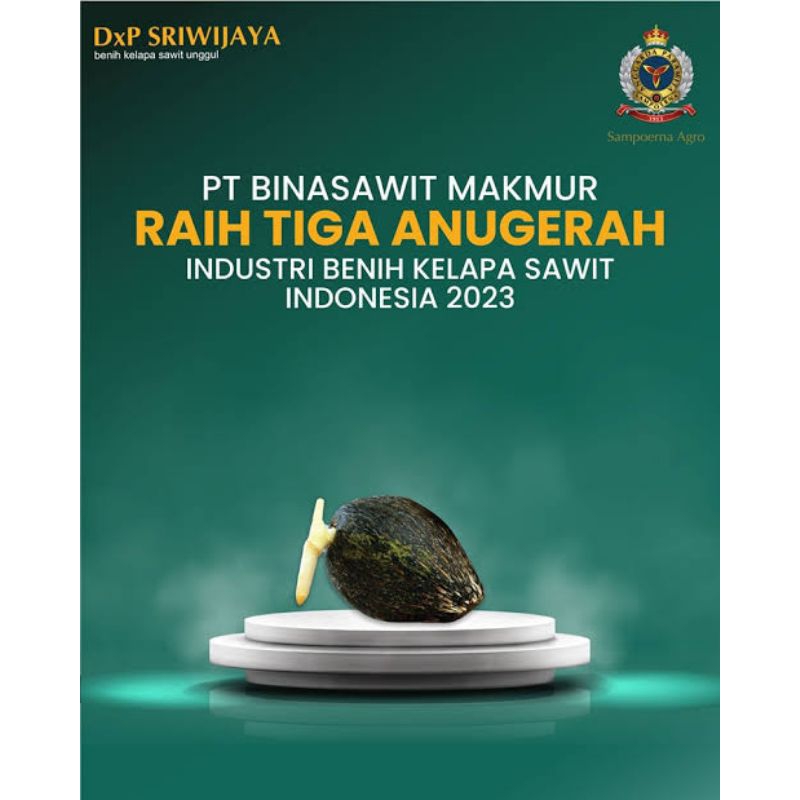 Bibit kecambah sawit unggul DxP SRIWIJAYA 5 (isi 250 butir)