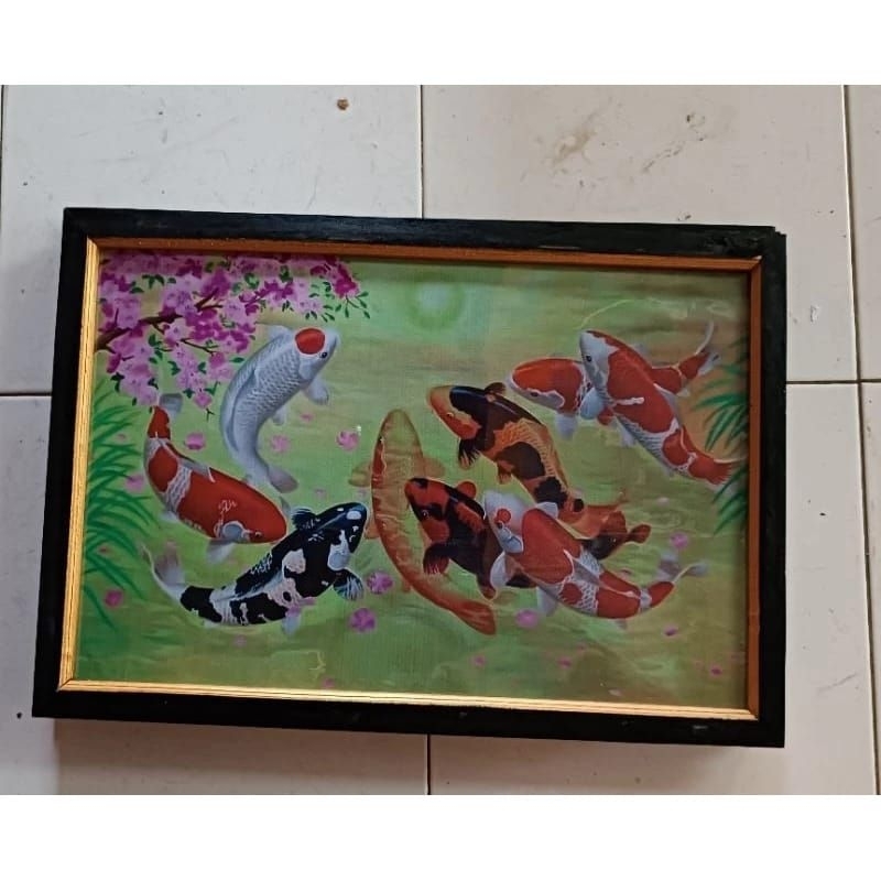 lukisan cetak ikan koi hias plus bingkai ukuran 65×45