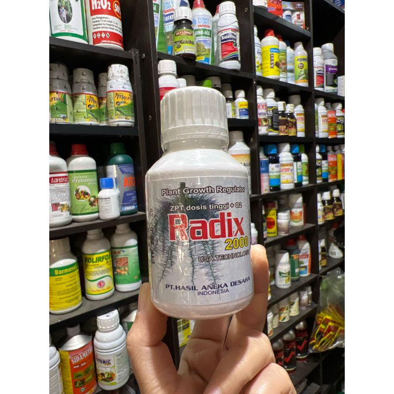 RADIX 2000 ZPT 100ml