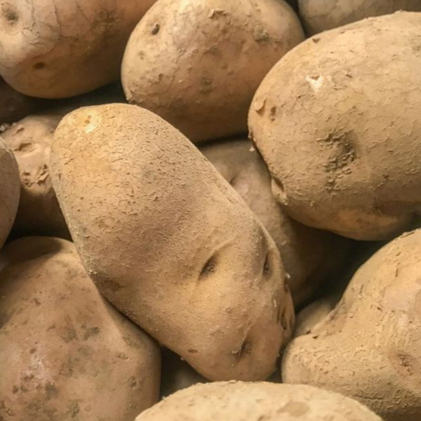 

RB Kentang Besar 1 KG (ISI 3 - 4 Pcs)