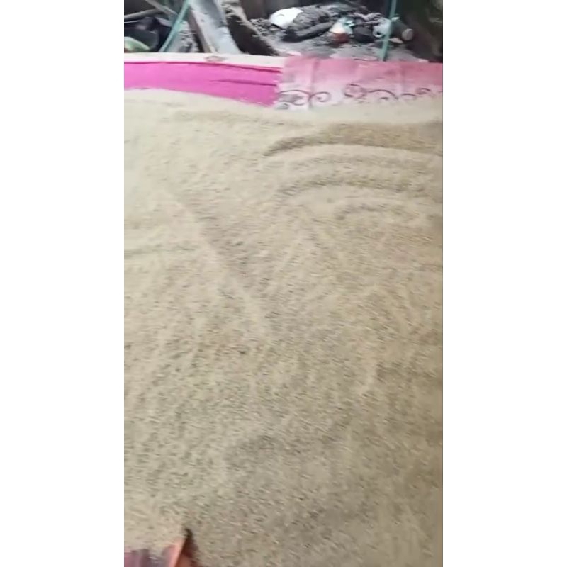 

Telur Jangkrik 500gr