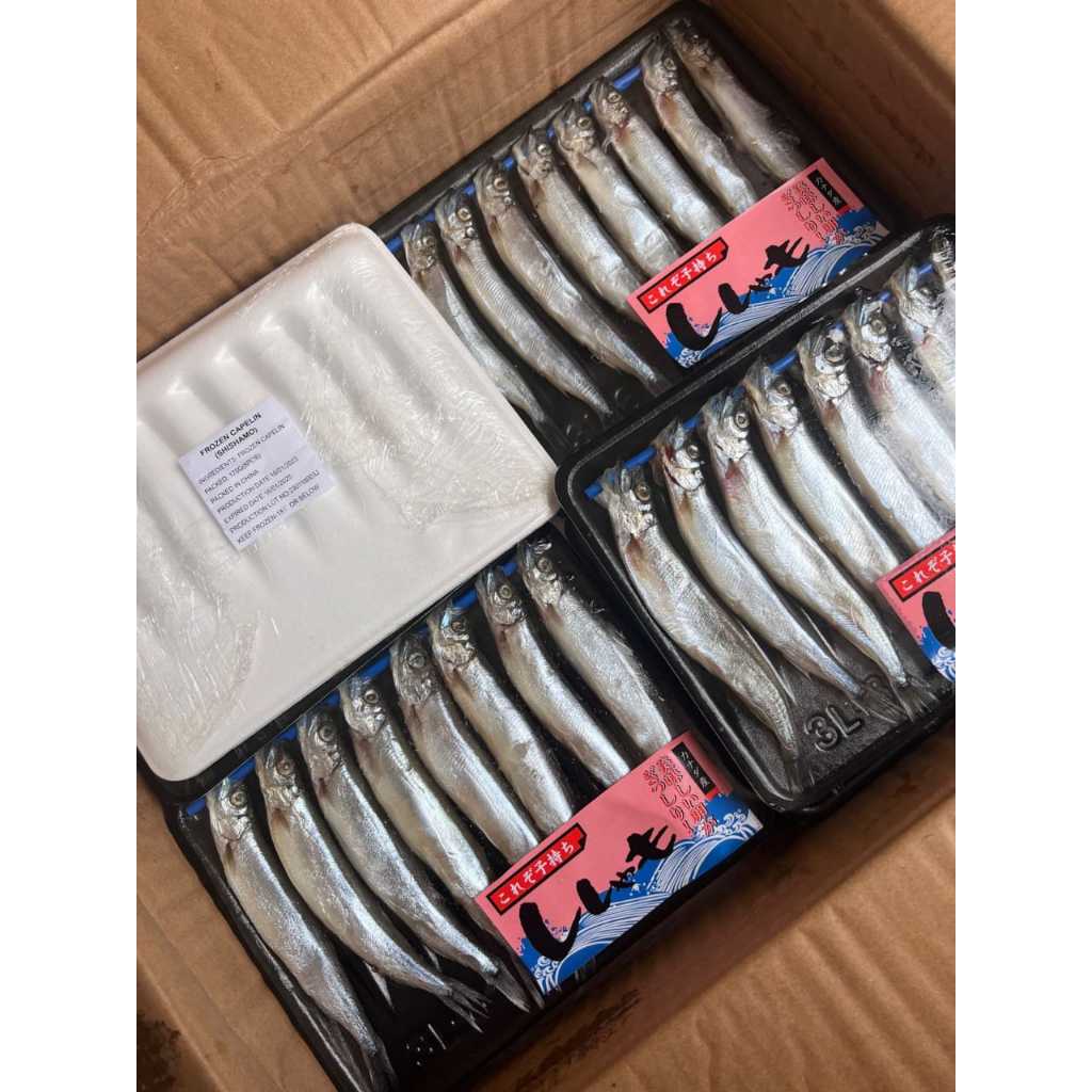 

ready IKAN SHISHAMO FRESH