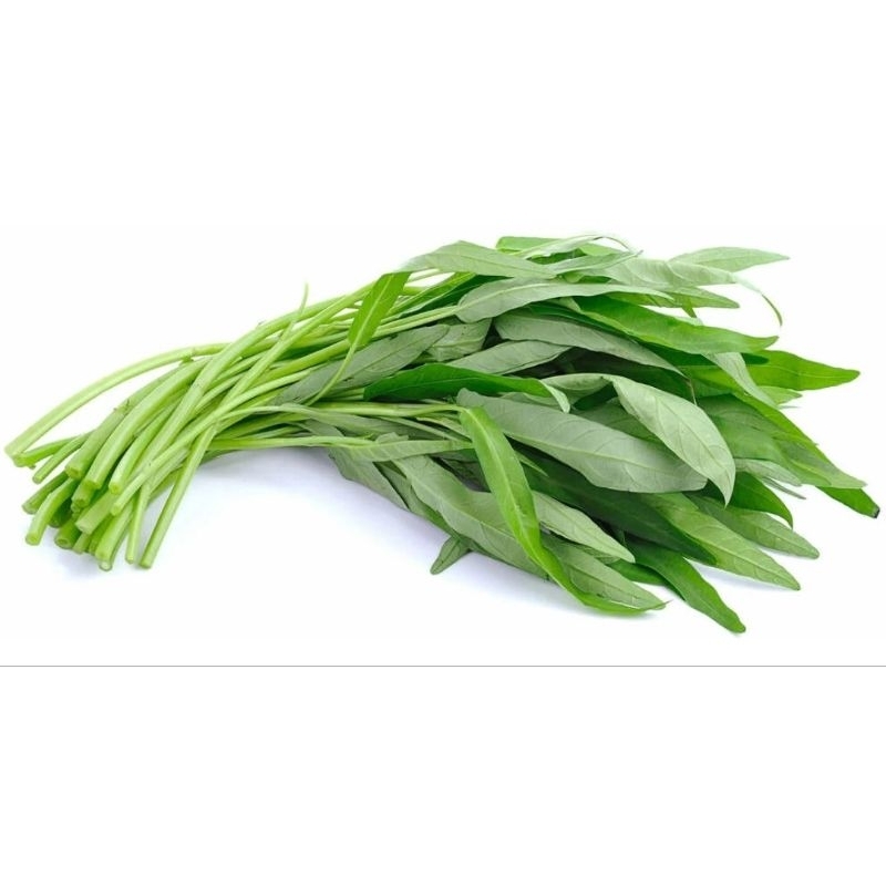 

SAYUR KANGKUNG