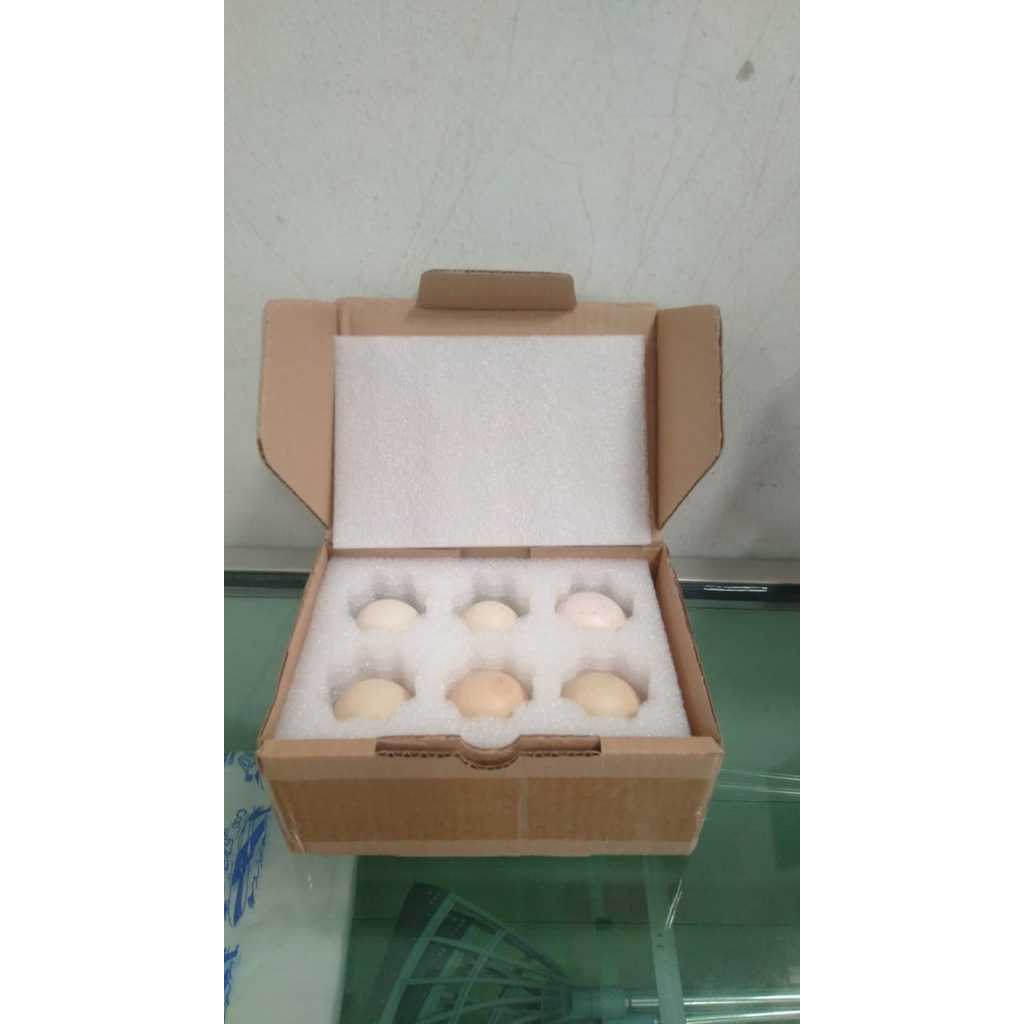 

Telur Kampung Asli Kemasan Anti Pecah/Bebas Ongkir