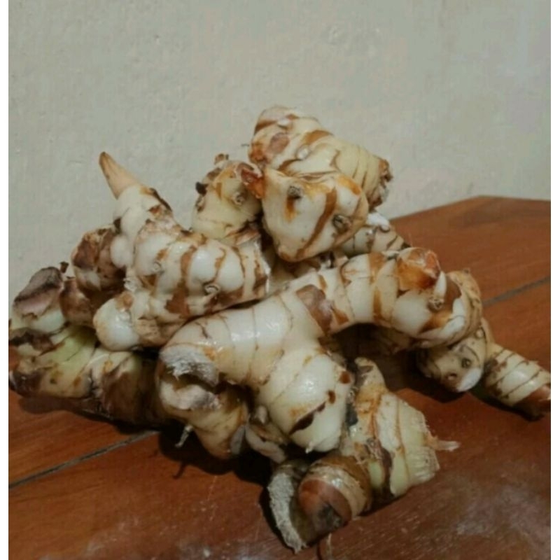 

Lengkuas/ Laos segar, bersih, organik, netto 1 kg