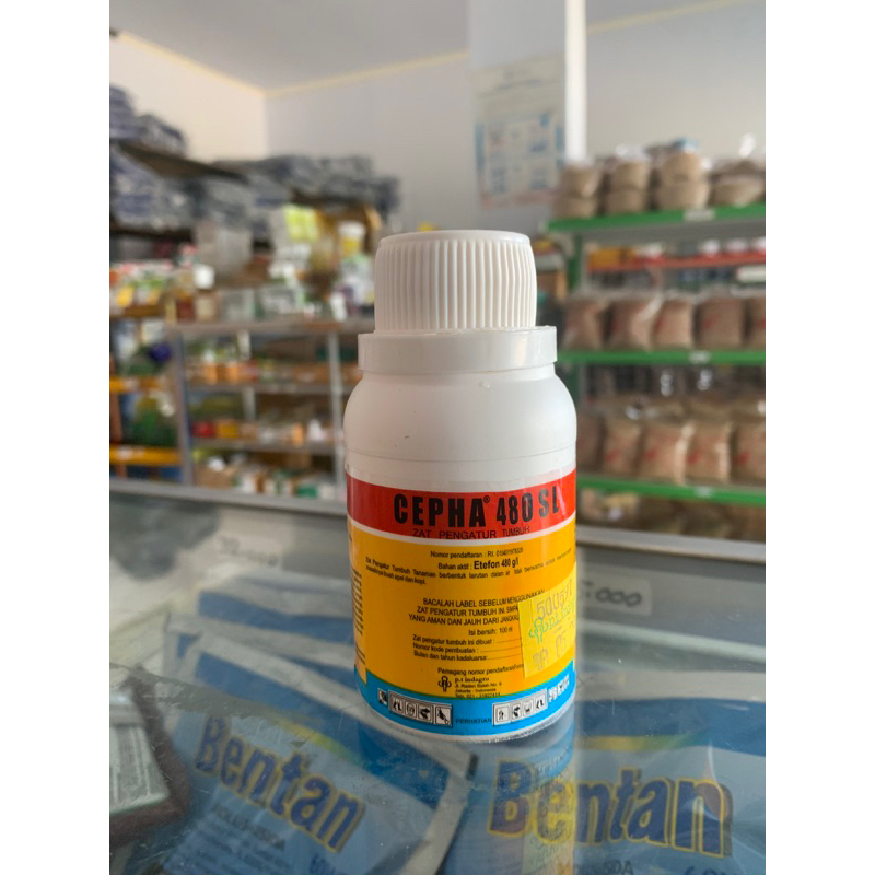 Cepha 100ml