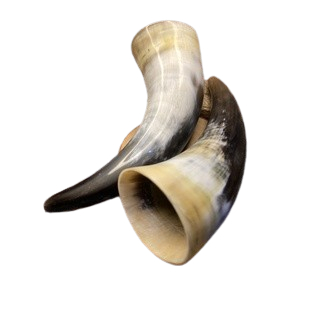 alat kop bekam tanduk sapi terapi bekam