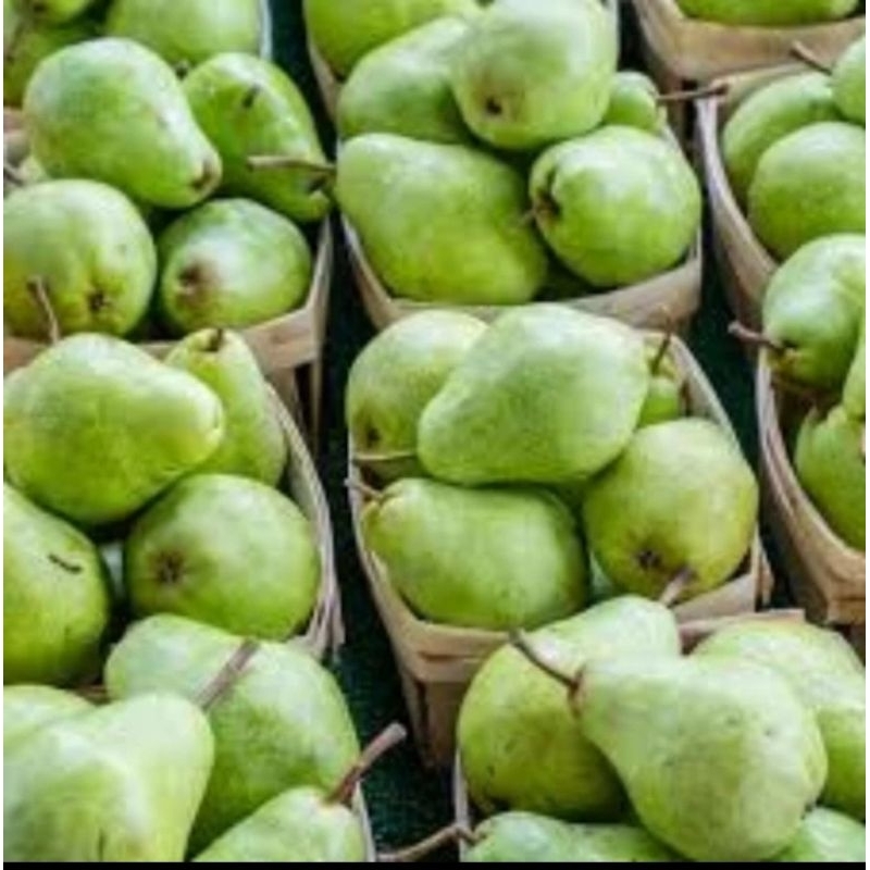 

Buah Pear Pir Hijau / Pear Pockham 1kg