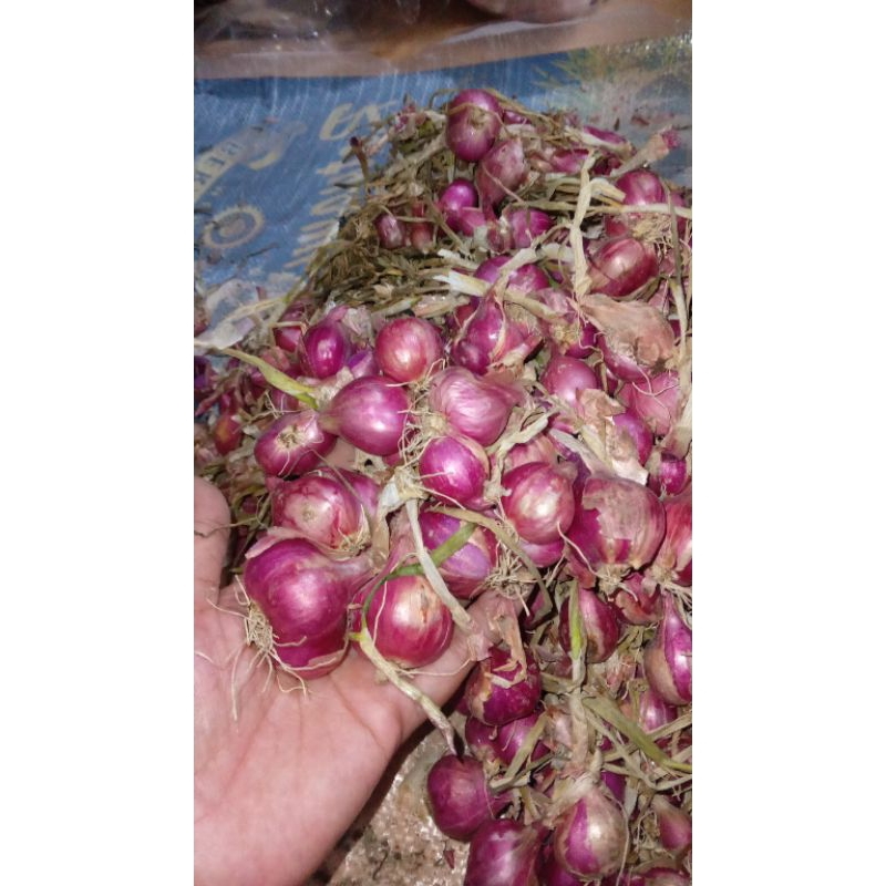 

bumbu dapur