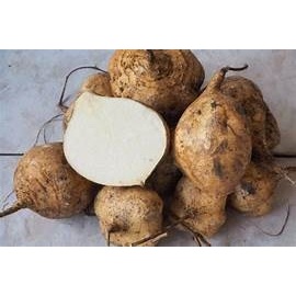 

Buah Bengkoang Bengkuang Fresh