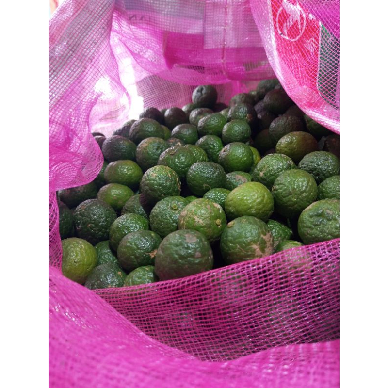 

jeruk purut, jeruk untuk seblak dan makanan lainnya