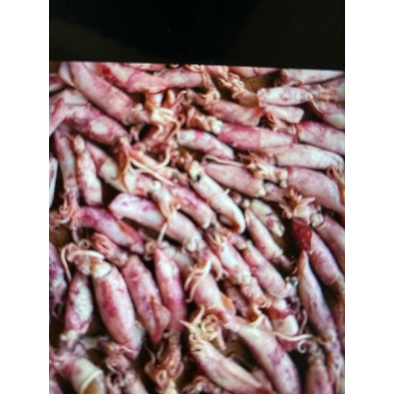 

Ikan Cumi Asin Kering