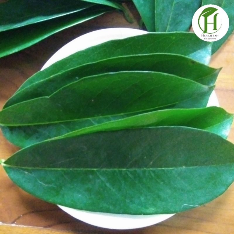 

DAUN SIRSAK 100 LEMBAR SEGAR
