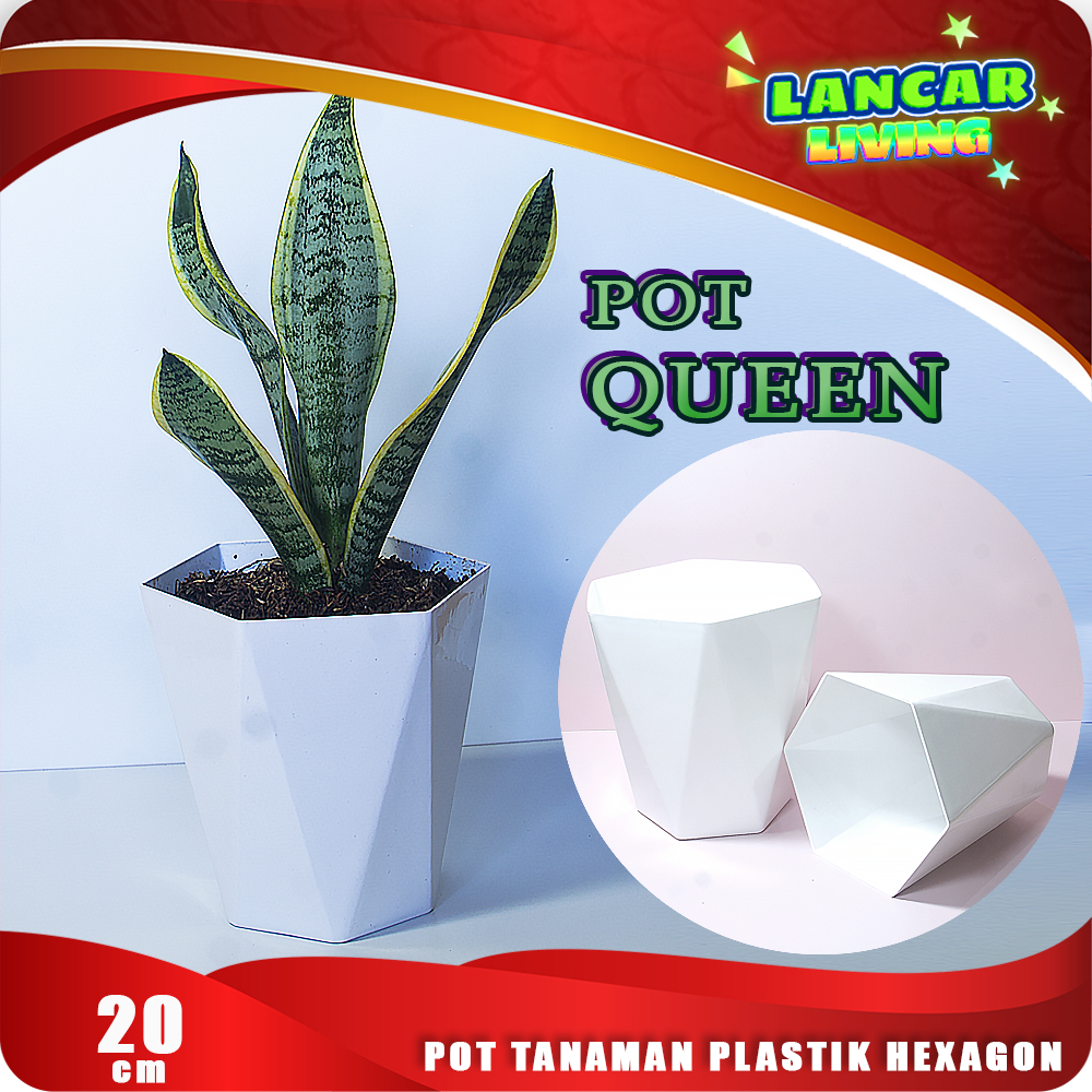 6 pcs Pot Queen Pot Tanaman Pot Bunga Plastik Hexagon Minimalis Pot Indoor 20cm