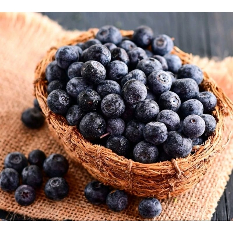 

blueberry spanyol