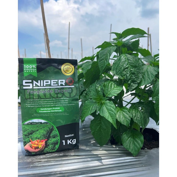 

KODE C5Y3 TRICO SNIPER