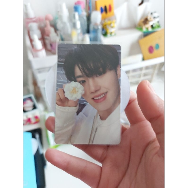 PC DOYOUNG TREASURE