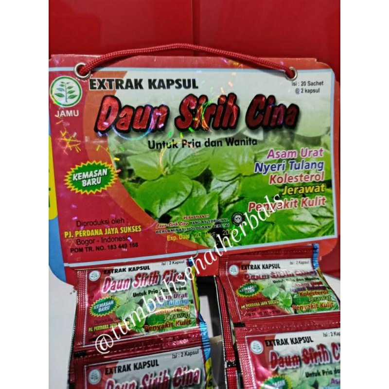 DAUN SIRIH CINA kapsul 100% Original