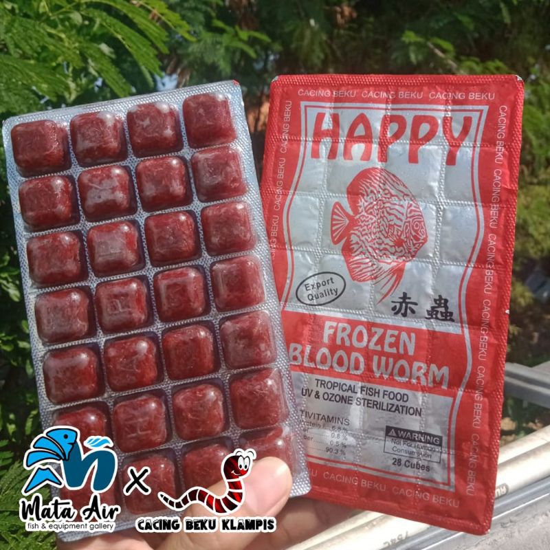 Cacing beku/Cabek/Frozen Blood Worm Happy