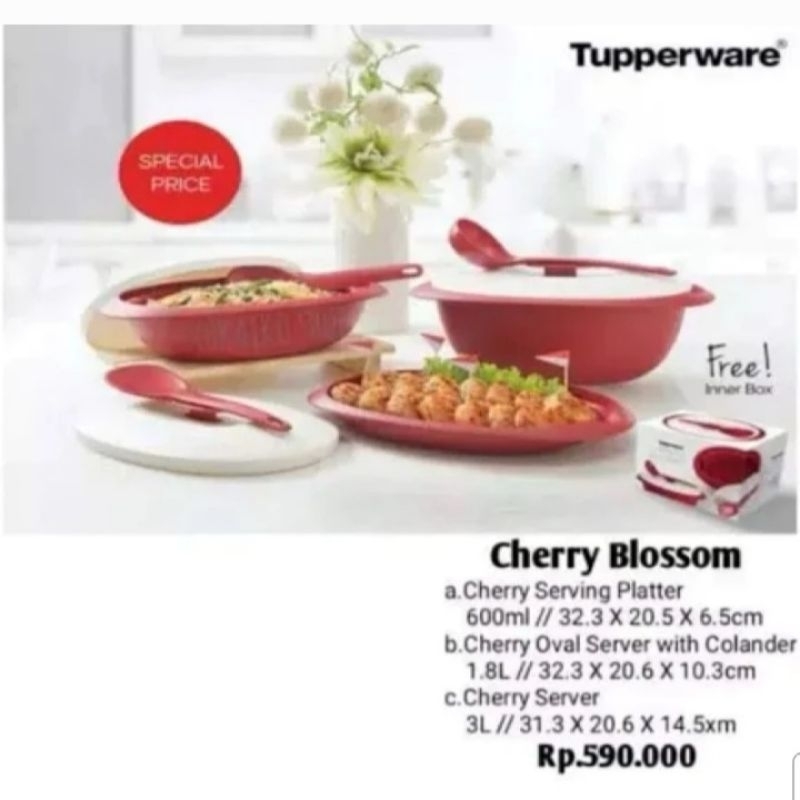 [PRELOVED] Tupperware Cherry Blossom