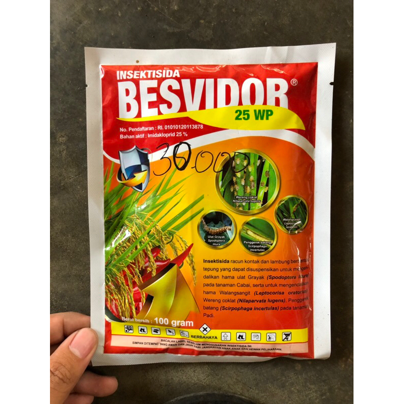 Insektisida BESVIDOR 25WP 100 gr