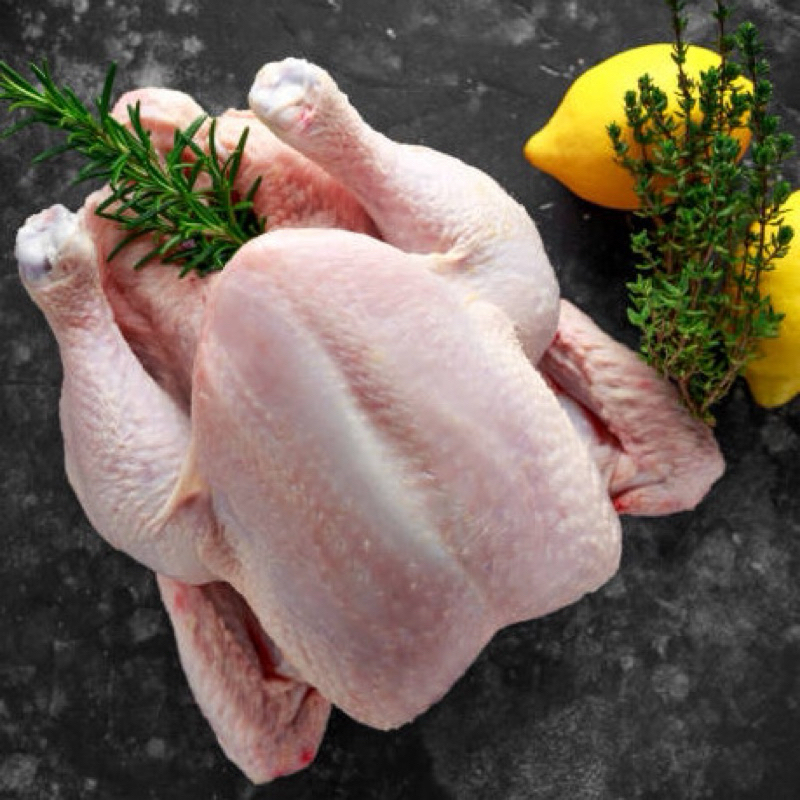 

Ayam Utuh Frozen 1Kg/Ekor