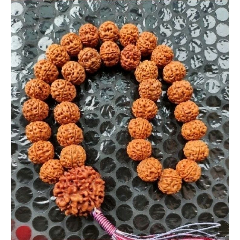 Tasbih 33 Jenitri Rudraksha 33 Tridatu Size Biji 10-12Mm Bandul Jenitri Besar Tasbeh