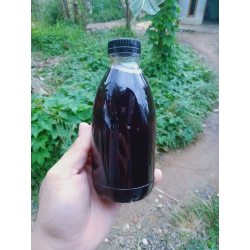 

MADU HUTAN DIKAWASAN SUMATRA DENGAN VEGETASI TUMBUHAN ACASIA CRASSICARPA. KEMASAN 250 GRAM ( AKASIA CRASSICARPA) ASLI DAN MURNI 100%