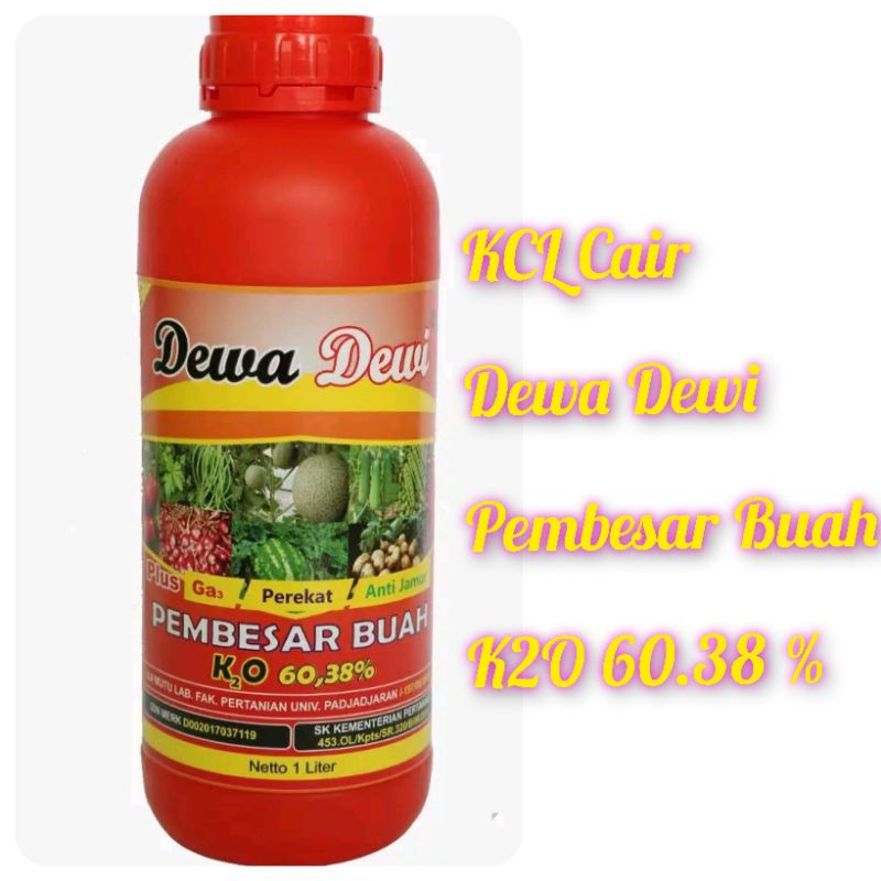 Pupuk KCL CAIR Dewa Dewi //Pembesar Buah//