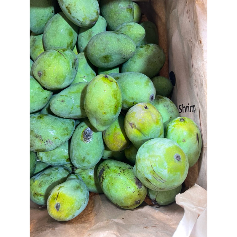 

mangga harum manis 1kg