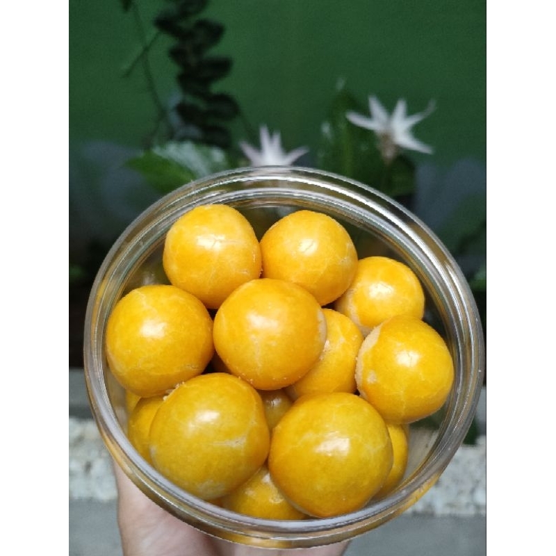 

nastar premium homemade