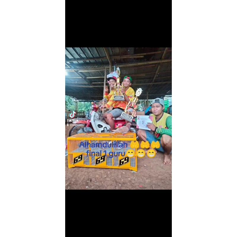 Jamu merpati jamu anti MONCOR