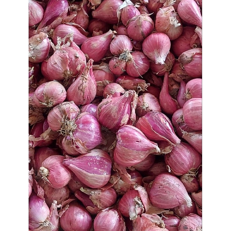 

bawang merah nganjuk 1kg