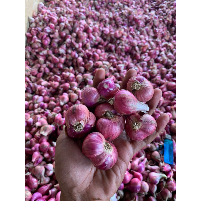 

bawang merah 500 gram