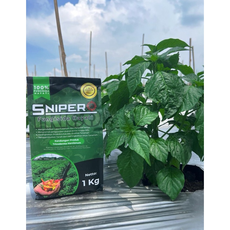 

TRICO SNIPER KODE W7Y5