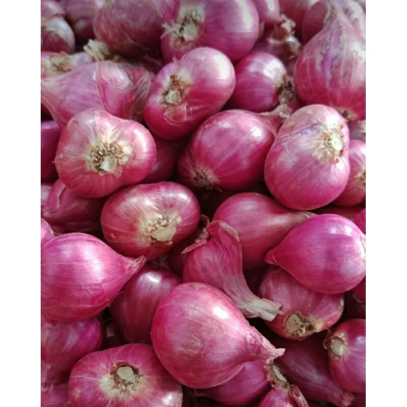 

Bamer(Bawang Merah)