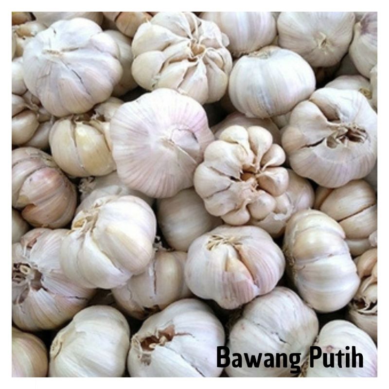 

Bawang putih segar