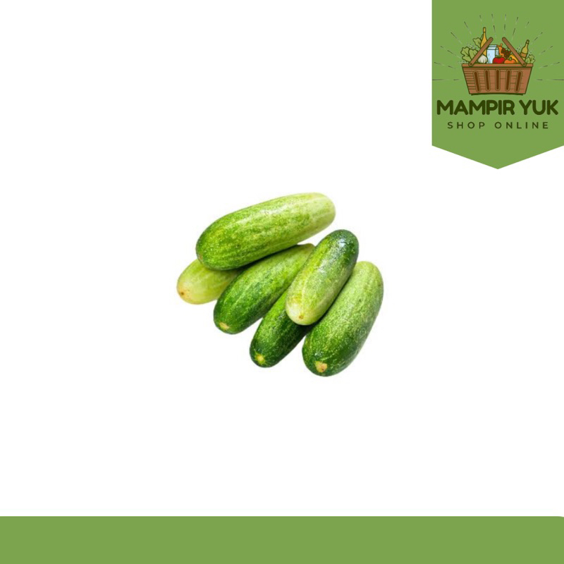 

Timun lokal 250gr-1kg | mampiryuk