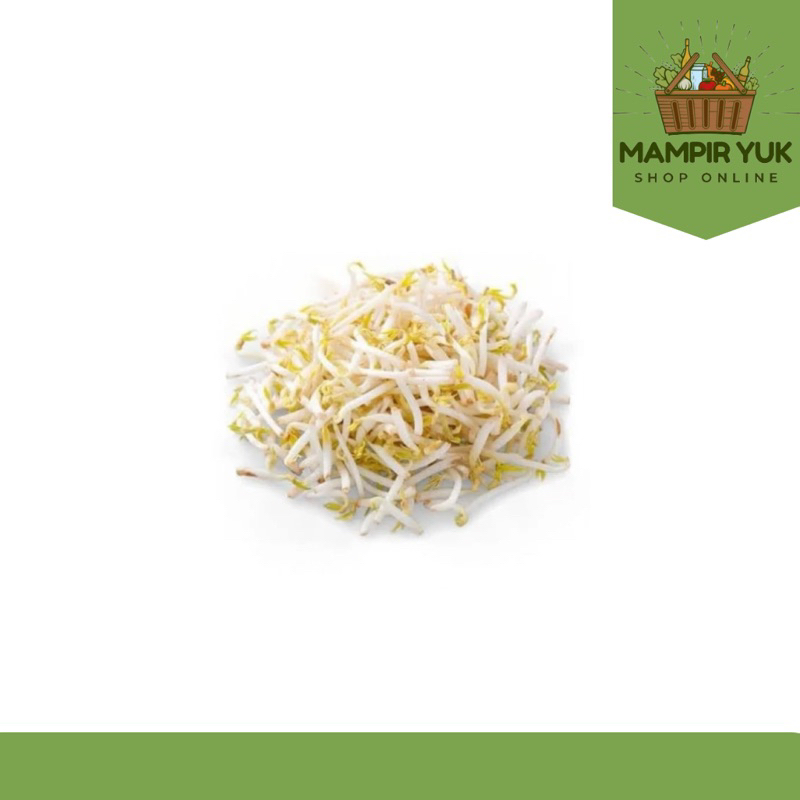 

Toge 250gr-1kg | mampiryuk